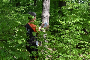Malo zarašteno, ali zabavno...