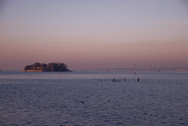 DSC_4706