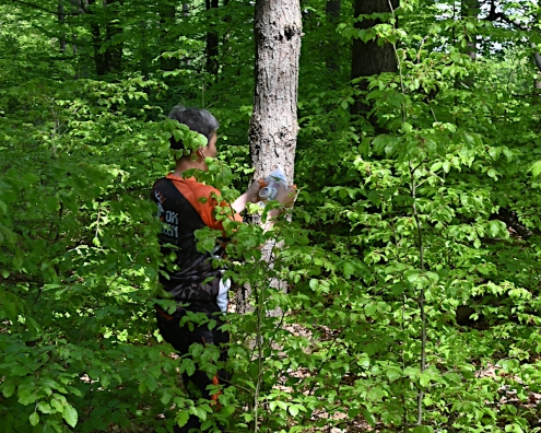 Malo zarašteno, ali zabavno...